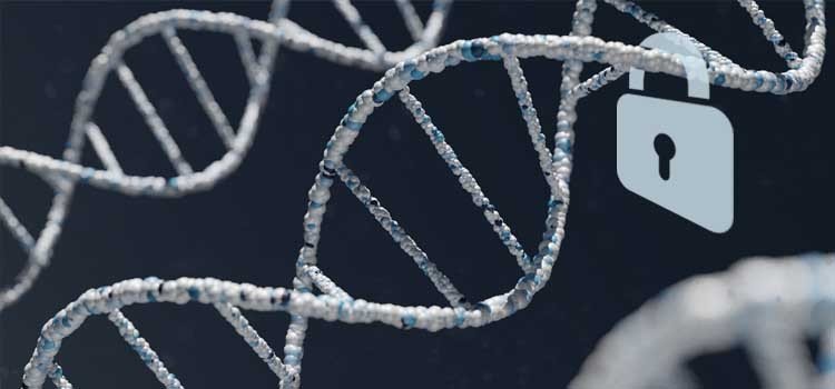 The Ethics of Genetic Testing: Privacy, Consent, and Misuse of Information